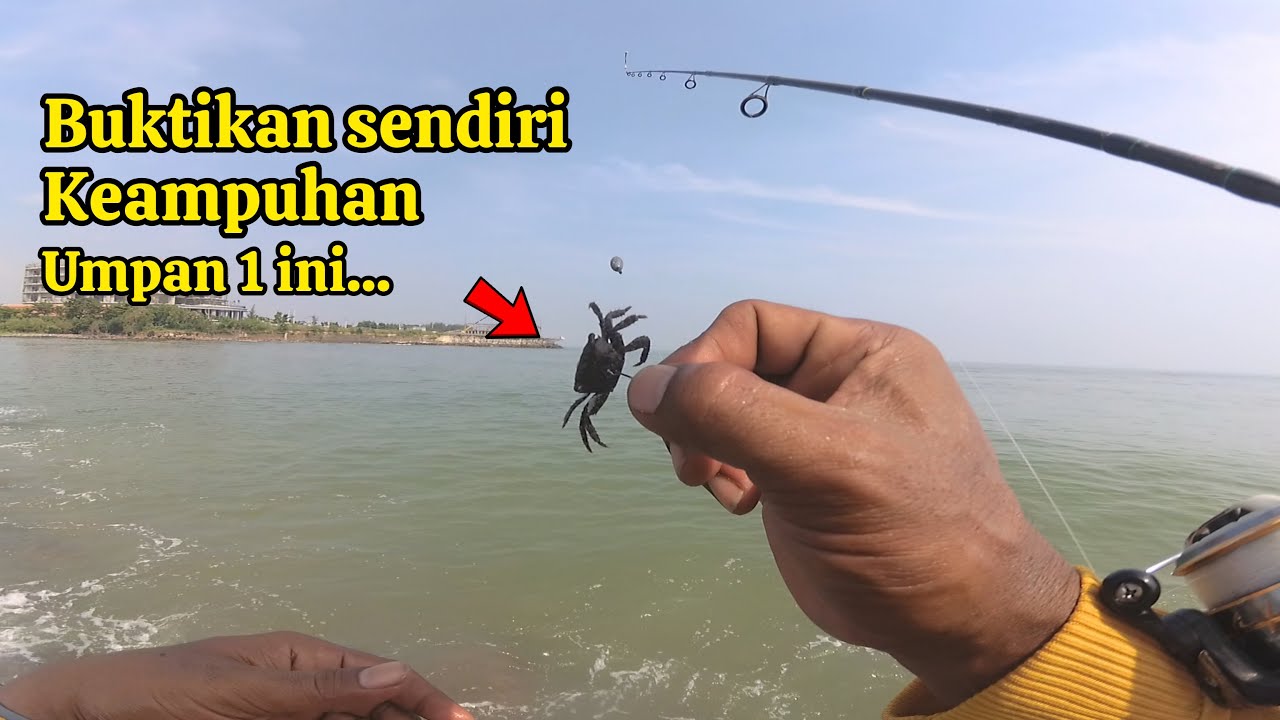 AWAS KETAGIHAN❗salah satu umpan ampuh untuk mancing di laut || pantai marina semarang