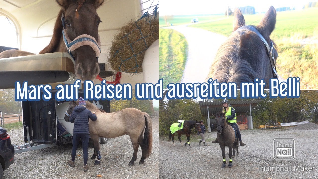 Mars on Tour again/ Alleine ausreiten mit Belli🦄