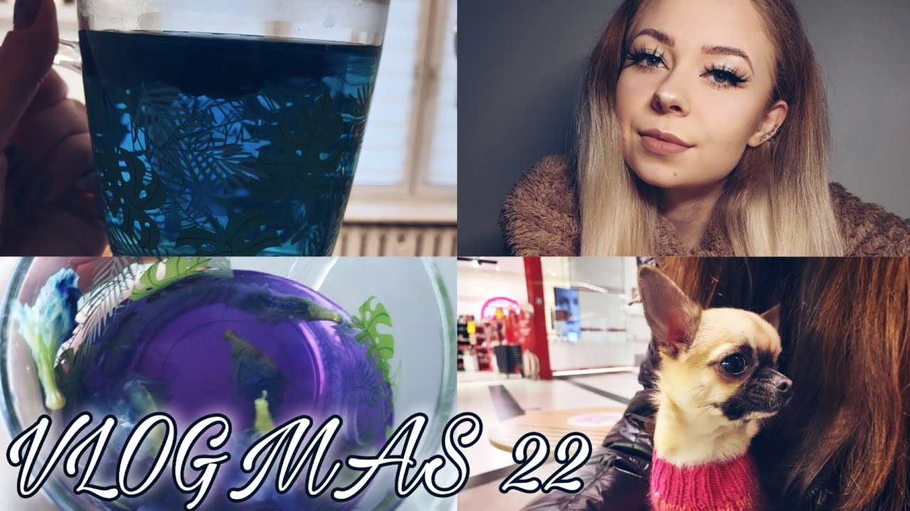 ❄ Taki mały słodziak 🐶 Niebieska herbata! 😱💙 VLOGMAS 22 | 2021 ❄