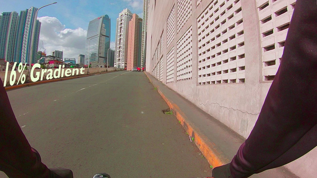 Eskinita Route: BGC McKinley from Bagong Calzada