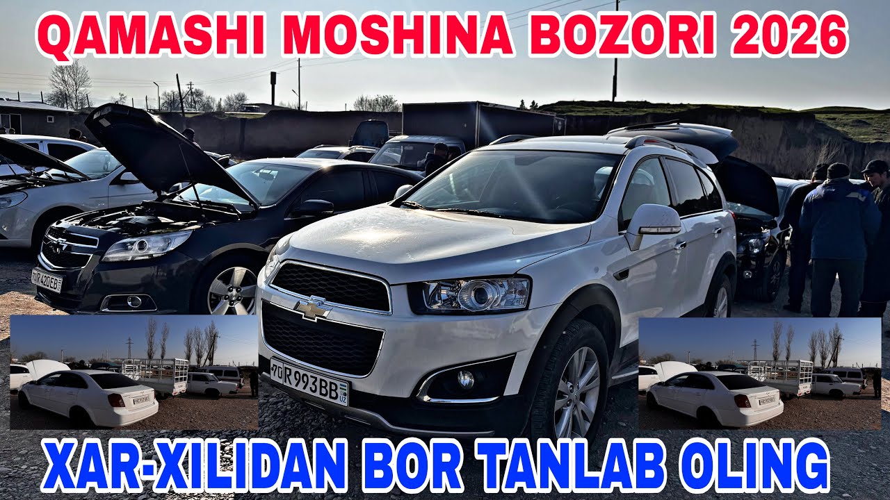 13-MART QAMASHI MOSHINA BOZORIDAN KOBALT,NEXIA3, NEXIA2, MALIBU, KAPTEVA, LABO NARXLARI 2026