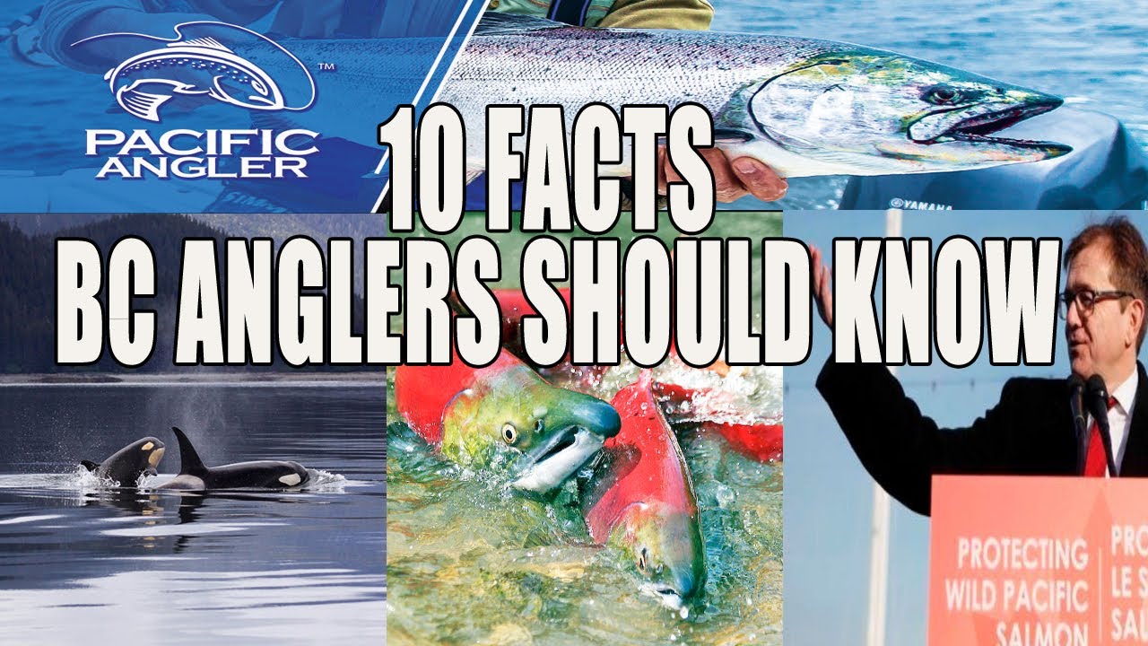 FACTS THAT ALL BC ANGLERS SHOULD KNOW - Pacific Angler Vancouver Fishing Report -