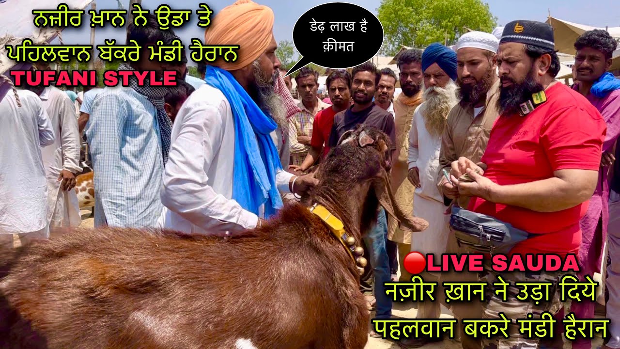 नज़ीर ख़ान ने उड़ा दिये पहलवान बकरे मंडी हैरान #live_sauda tungwali bakri bazar tufani @farming baba