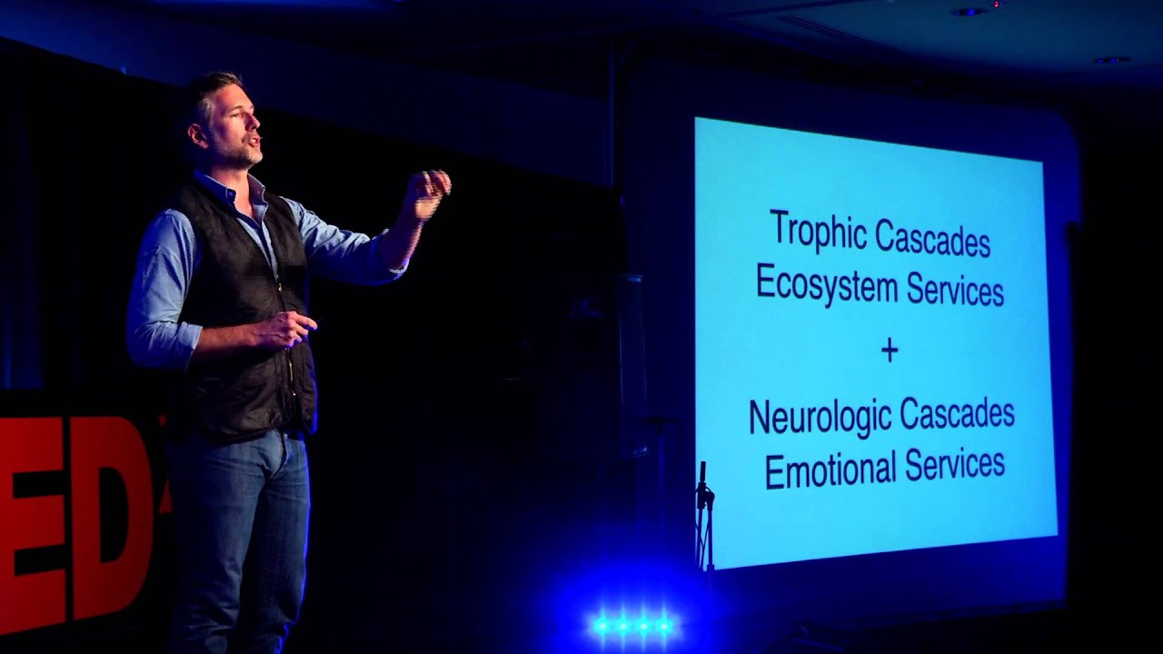 Neuroconservation -- your brain on nature: Wallace J. Nichols at TEDxSantaCruz