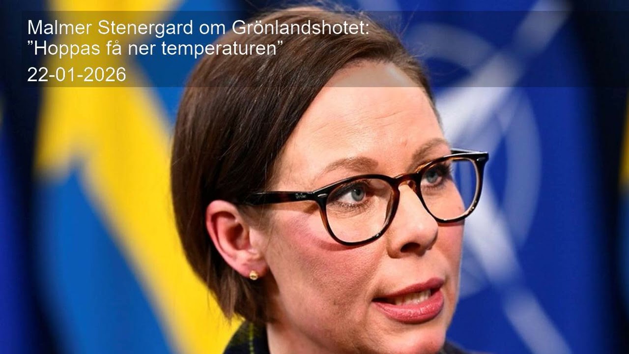 Malmer Stenergard om Grönlandshotet: ”Hoppas få ner temperaturen”