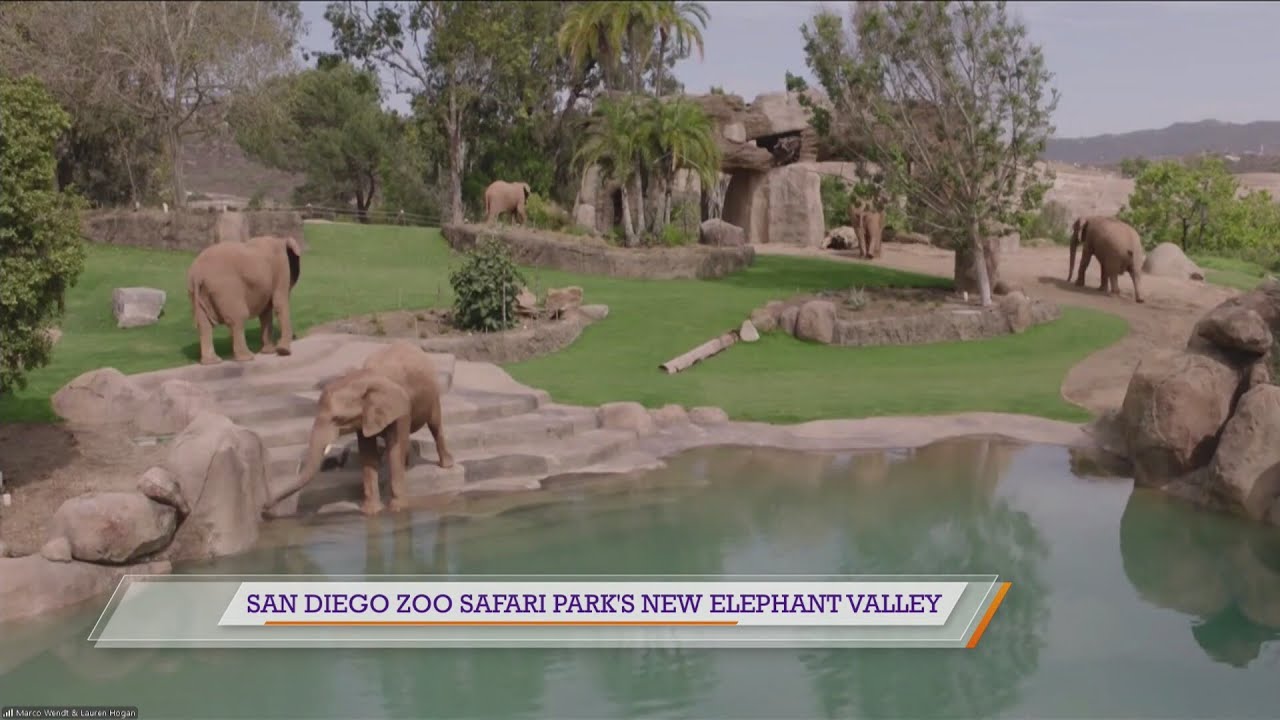 San Diego Zoo Safari Park's new Elephant Valley