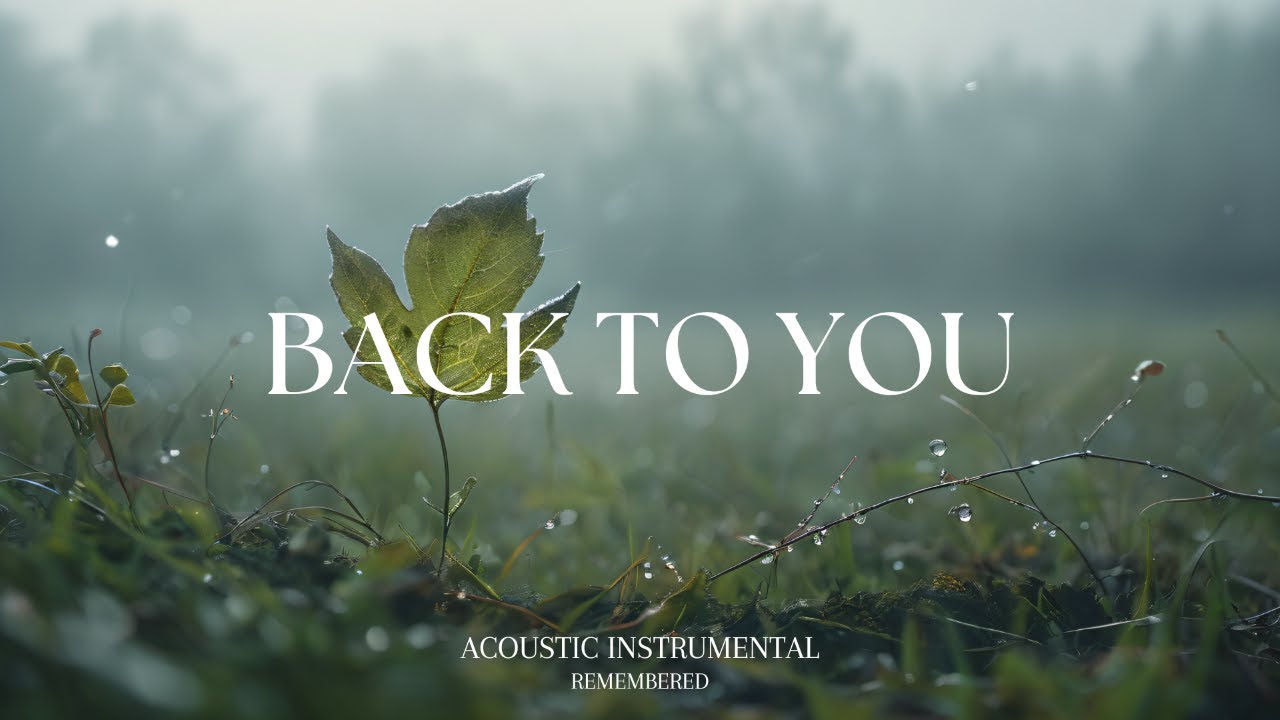 Peaceful Guitar for Stress Relief, work and study