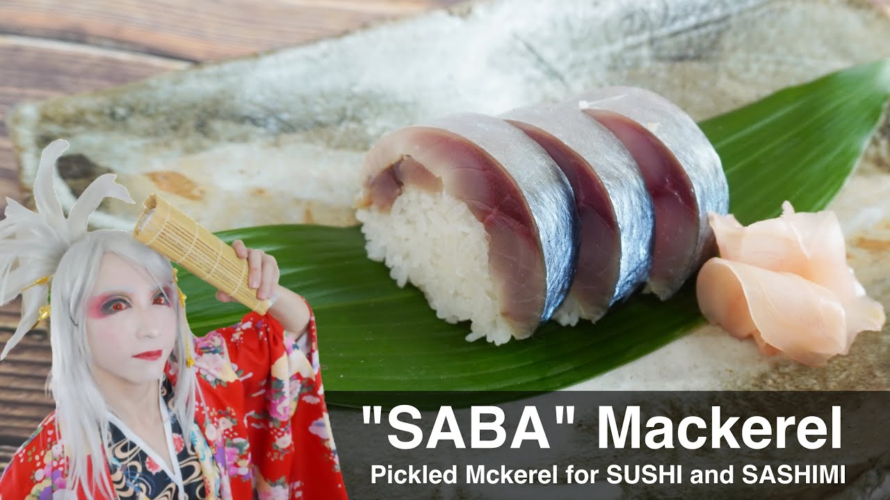 Sushi Roll / Traditional Japanese Food / Mackerel Sushi marinated in vinegar