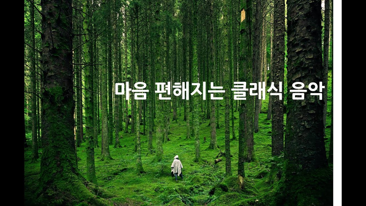 [Playlist]분노조절 잘되는 클래식 음악. 차분함이 필요 할 때