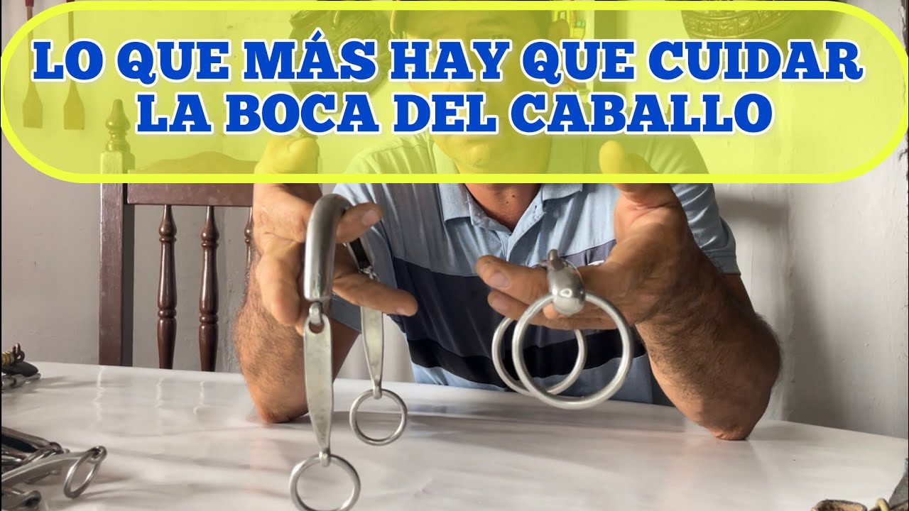 LO QUE MÁS HAY QUE CUIDAR LA BOCA DEL CABALLO