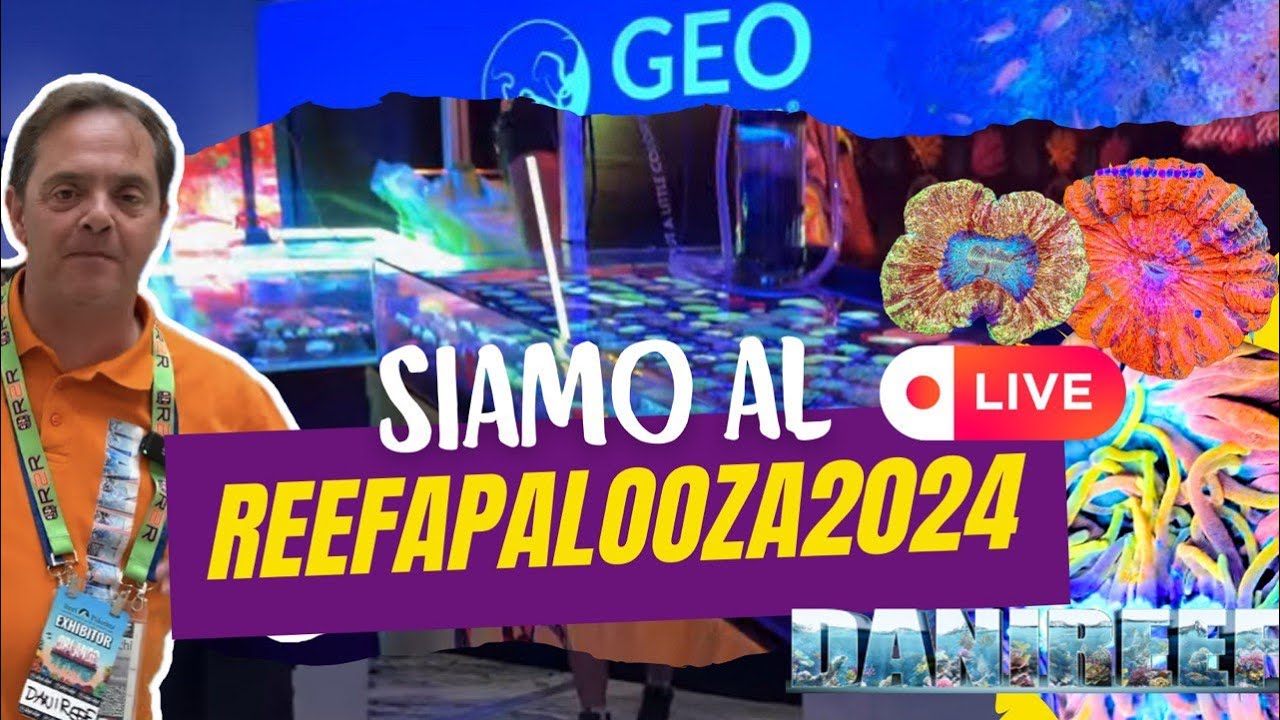 Reefapalooza Orlando 2024 fiera americana dedicata a coralli LPS, SPS, 29 stand da paura by DaniReef