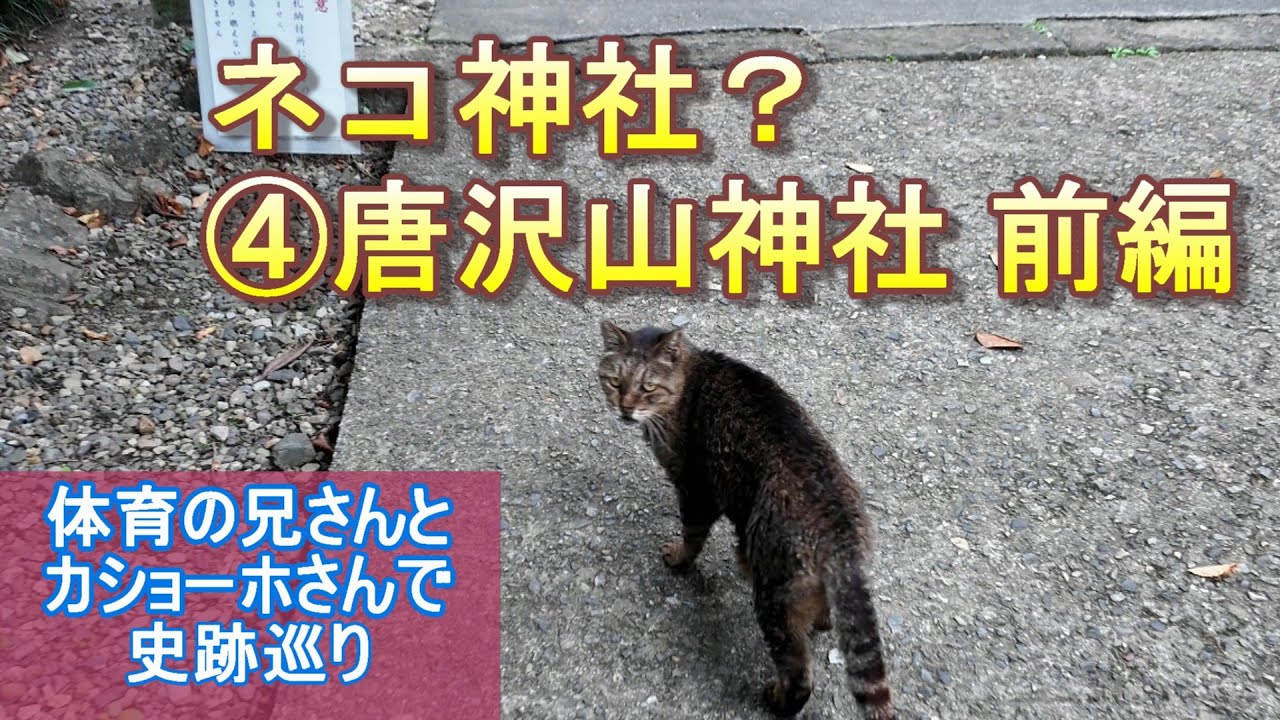 【ネコだらけ】「唐沢山神社」 前編【カショーホのゆるいチャンネル】【体育の兄さん】