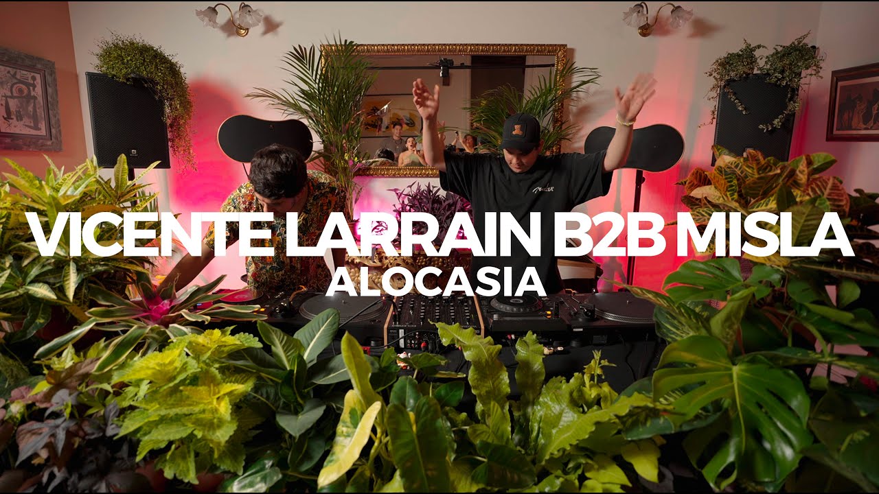 Minimal trip in the jungle by Vicente Larrain b2b Misla - Alocasia TV Barcelona