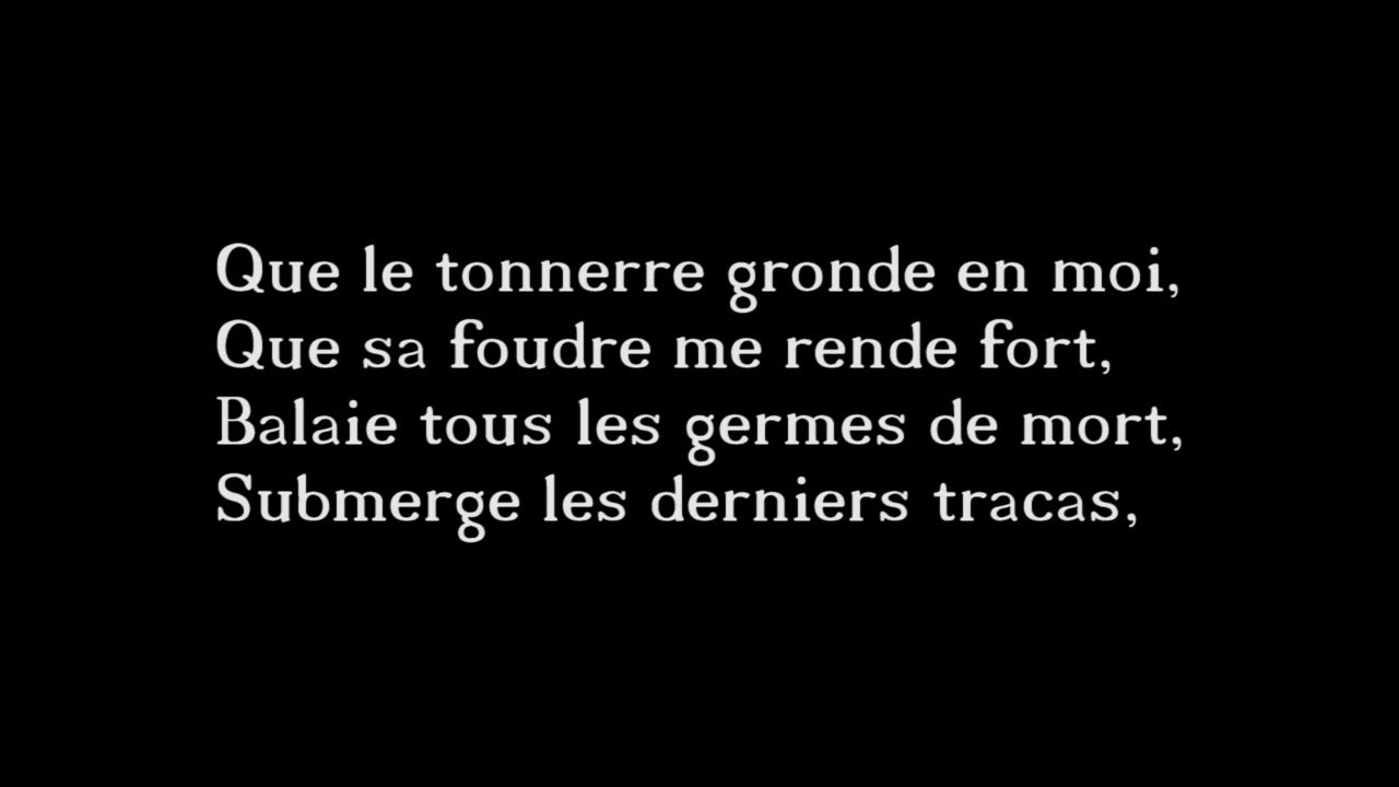 Triste Constat - Que gronde le tonnerre (Reprise de Paris Violence)