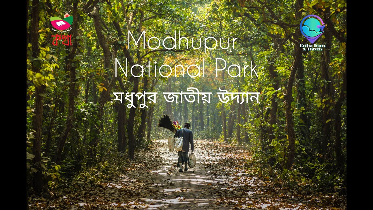 শালবন | Salbon Forest | গজারীর বন Madhupur Forest/মধুপুর বন