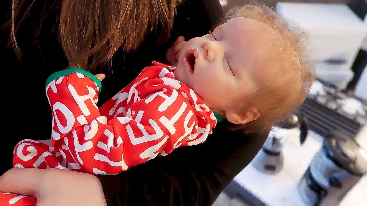 Reborn Baby Scavenger Hunt! Elf on the Shelf HIDE My Reborns!
