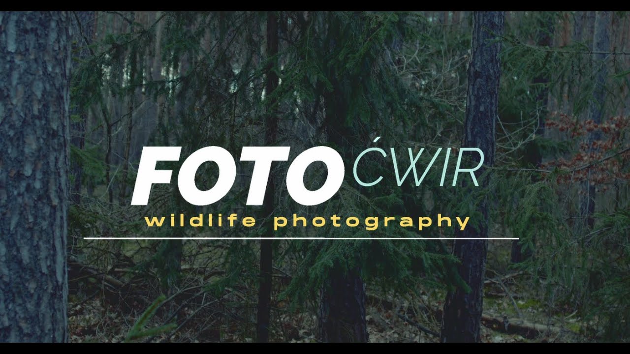 Foto Ćwir- film informacyjny. :)