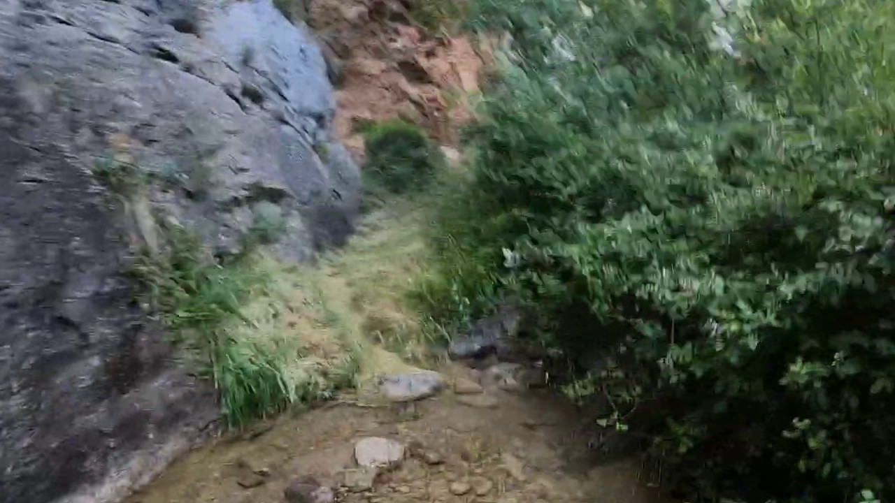Barranco de Valcongosto, Purujosa. Parque Natural del Moncayo.