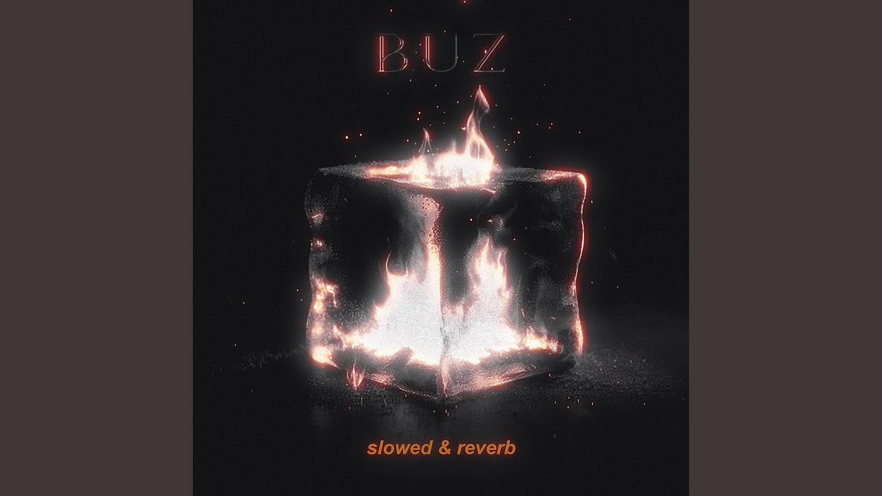 BUZ (Slowed & Reverb)
