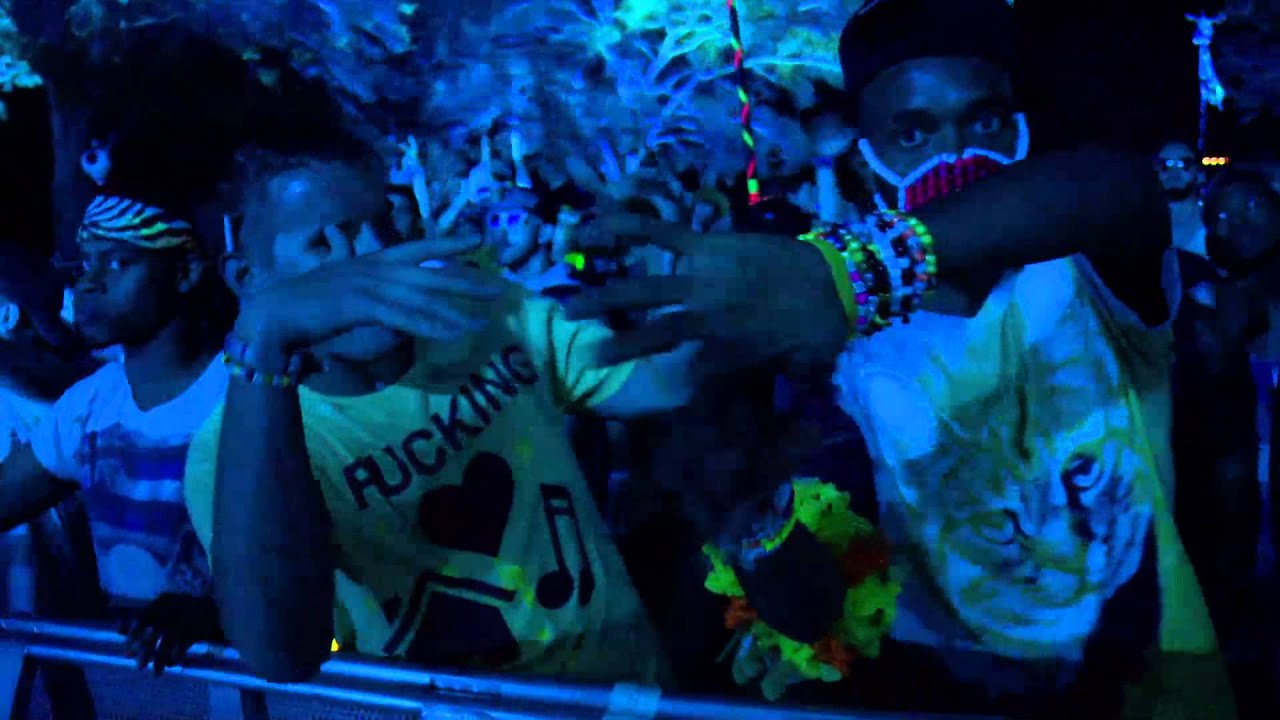 TomorrowWorld 2013 - AraabMuzik