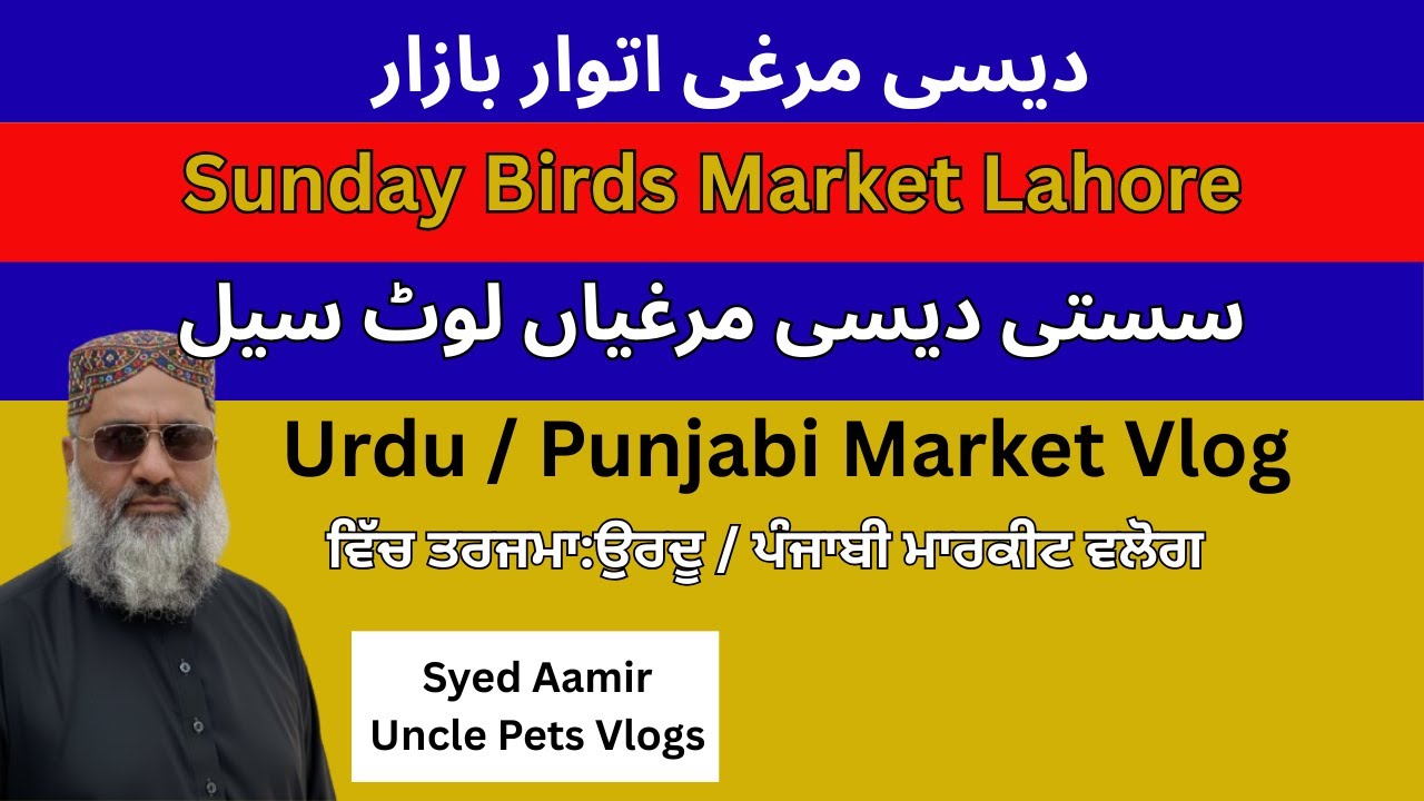 Lahore Sunday Pets market | Desi Murgi Bazar Nadia Ghee Mills | Update for Pets |