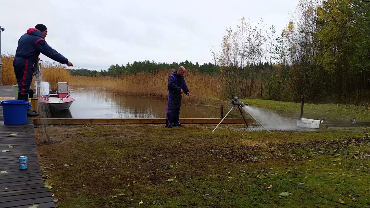 Verkkopesuri