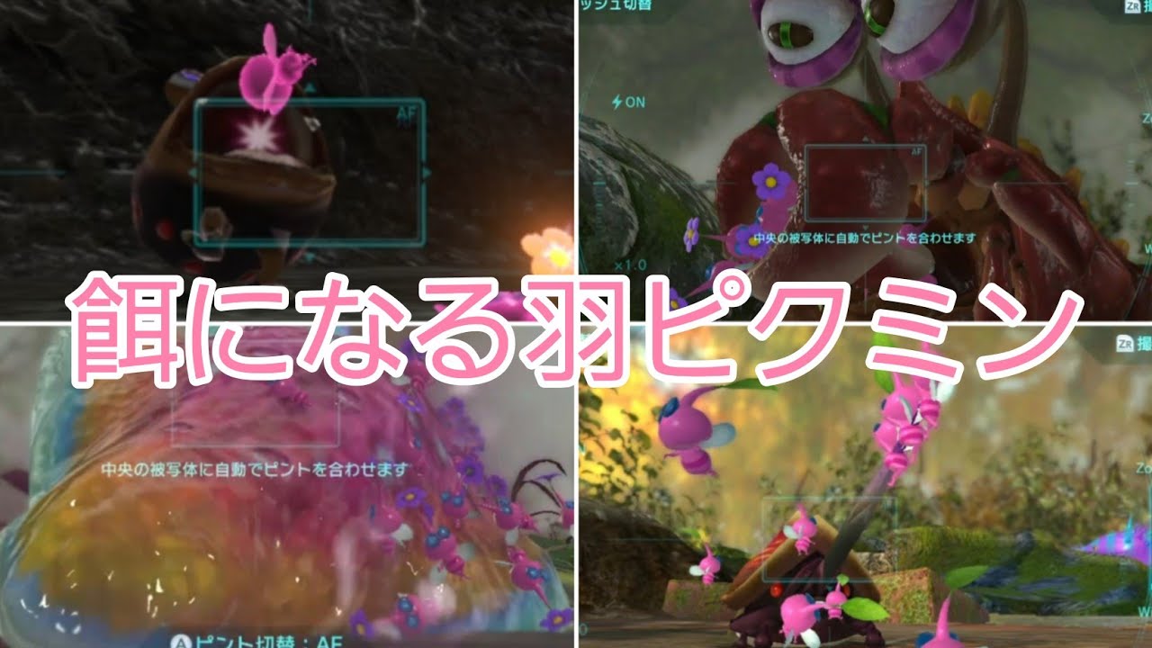 羽ピクミンが捕食されるシーン集【ピクミン3】