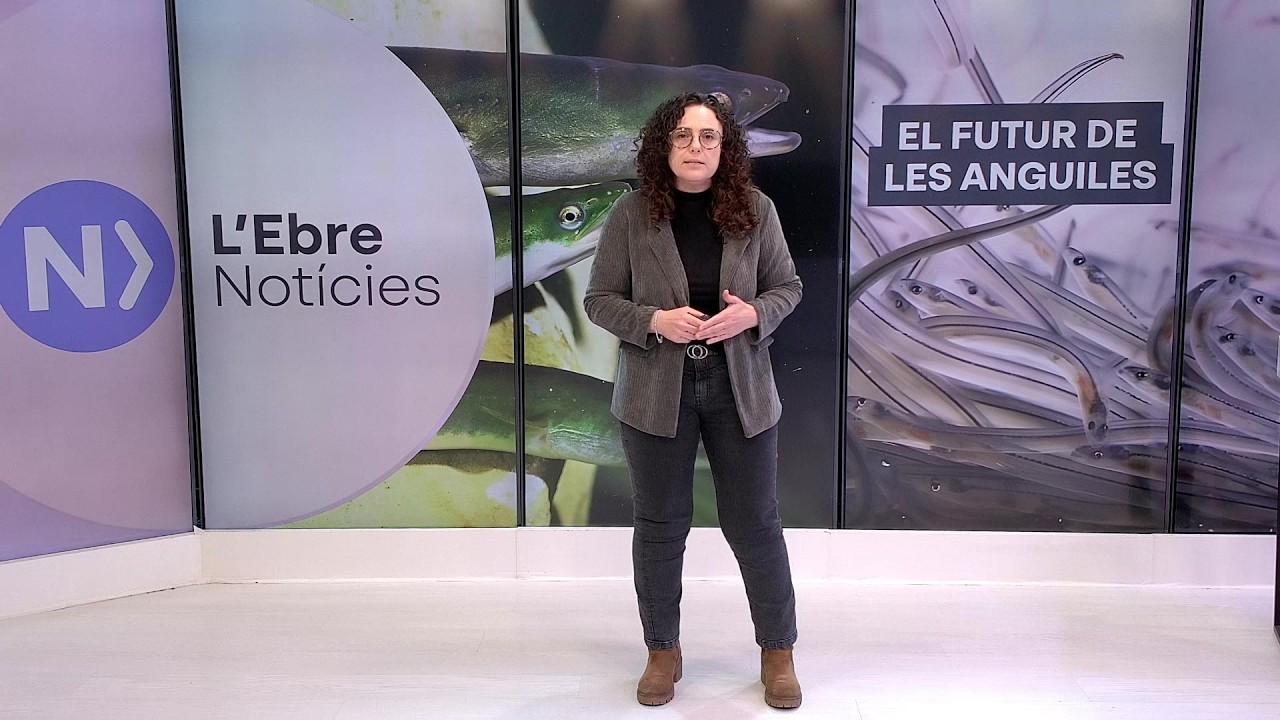 L'Ebre Notícies. Divendres 13 de febrer