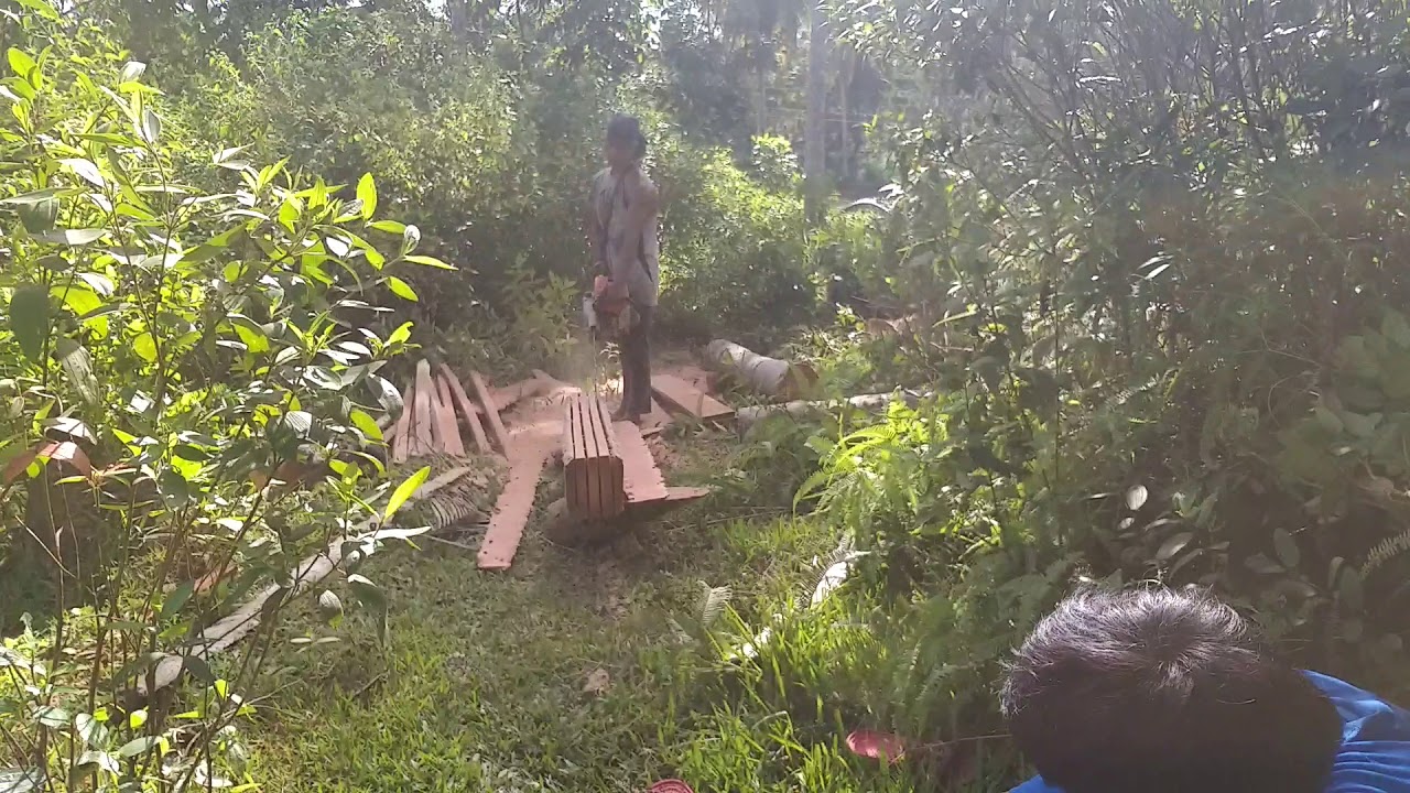 How to make Coconut  Timber into Coconut Lumber / Coco Lumber & Cocowood (Part 1)