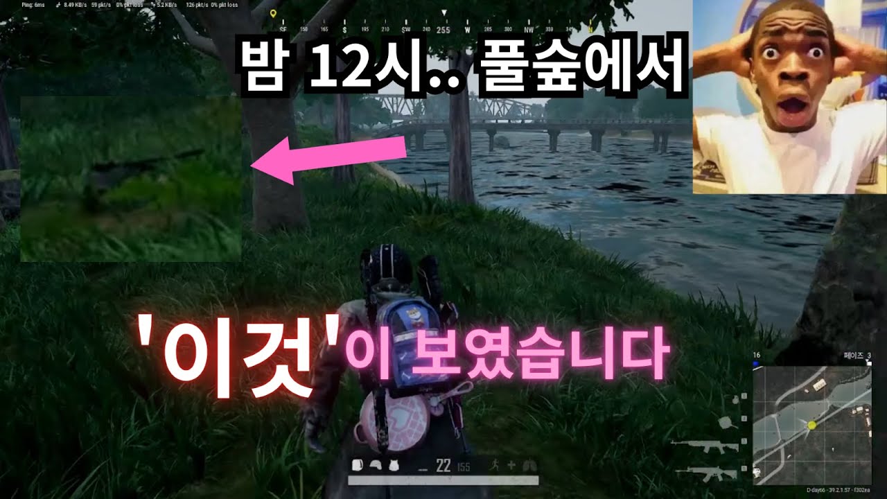 밤 12시 풀숲에서 '이것'이 보였습니다 배틀그라운드#19