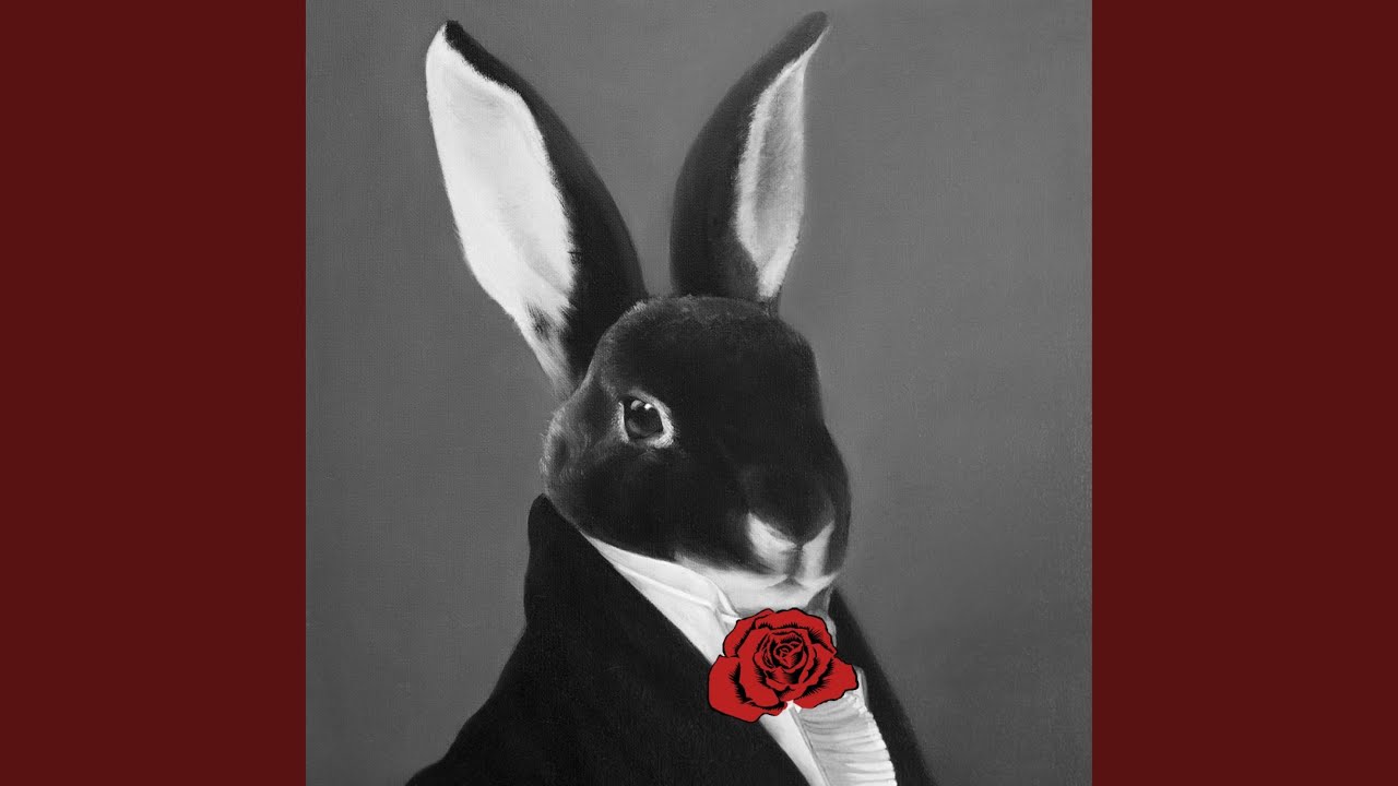 Swing Rabbit ! Swing !