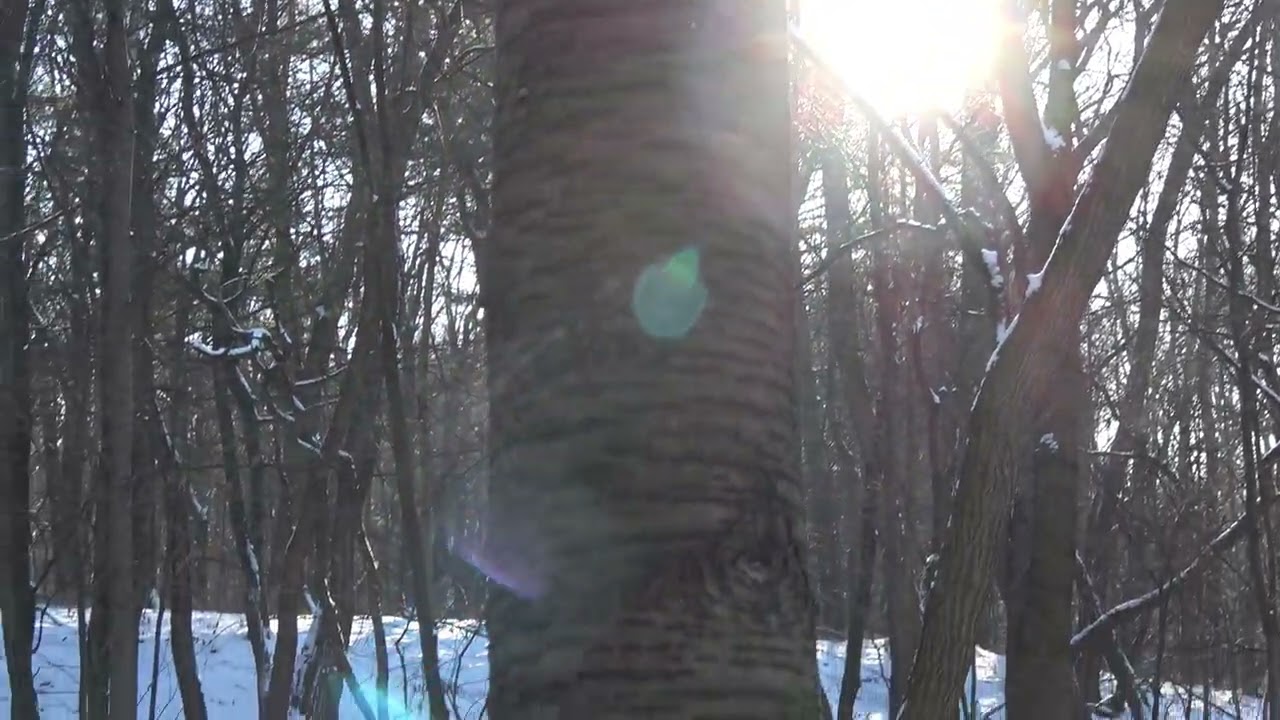 Eiskalter Winterzauber2026