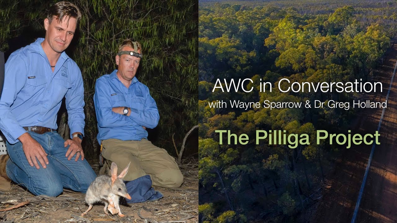AWC in Conversation with Wayne Sparrow & Dr Greg Holland: The Pilliga project (S2E5)