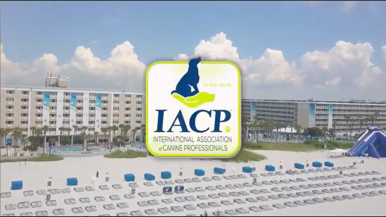 IACP Conference 2018 Recap