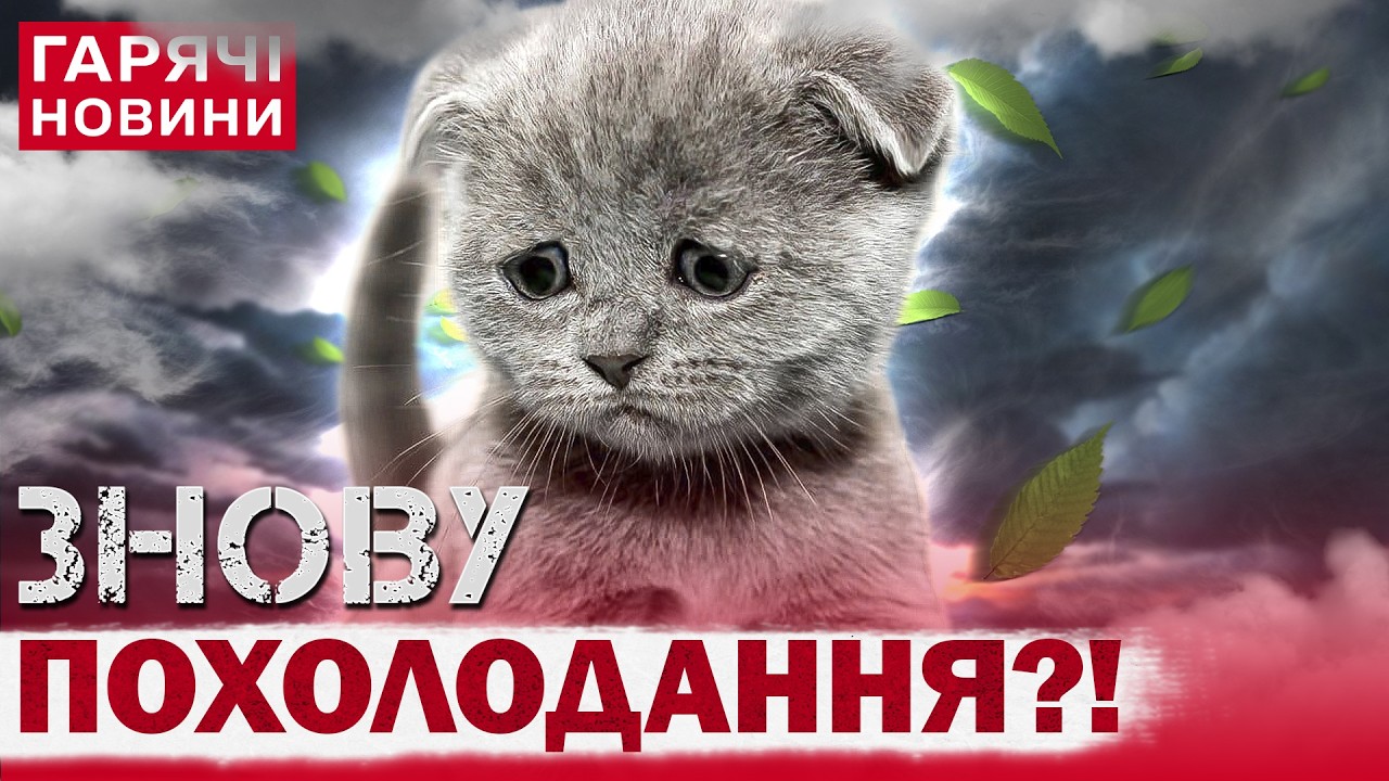 ПРОГНОЗ ПОГОДИ НА 17 БЕРЕЗНЯ: ПОХОЛОДАННЯ В УКРАЇНІ! МЕМ ДНЯ! ЯКЕ СЬОГОДНІ СВЯТО?