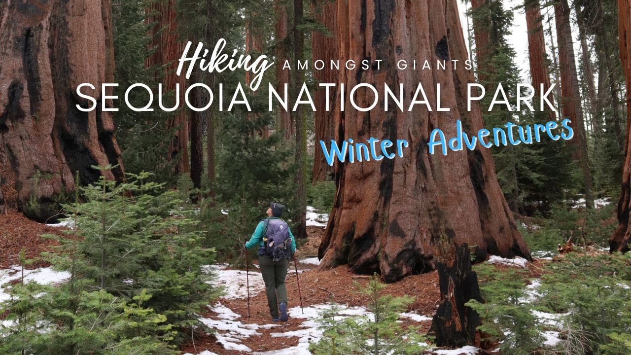 Sequoia National Park Vlog