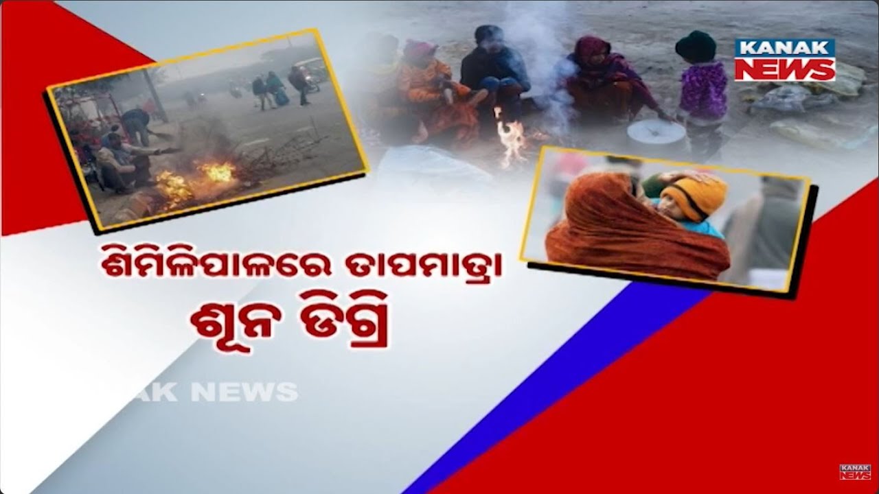 Record Cold Wave in Odisha | Similipal Touches 0&deg;C, 23 Cities Below 10&deg;C