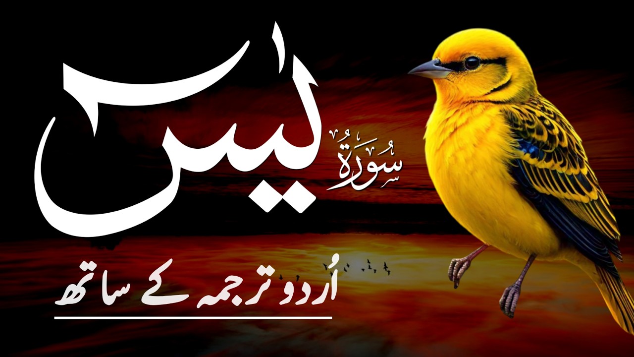 Surah Yasin | Surah Yaseen With Urdu Trnslation Full | Ep-018