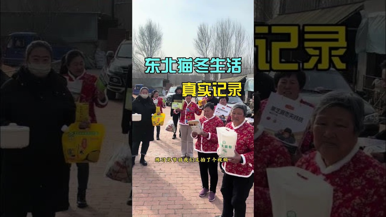 东北农村猫冬生活真实记录 #农村生活 #vlog十亿流量扶持计划 #青年创作者计划 #新农人计划2025