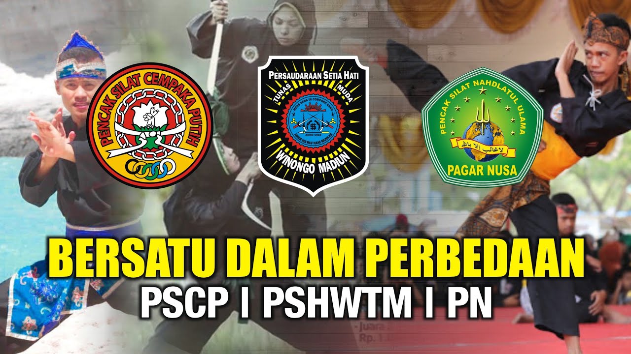 BERSATU DALAM PERBEDAAN ~ PSCP | PSHWTM | PN