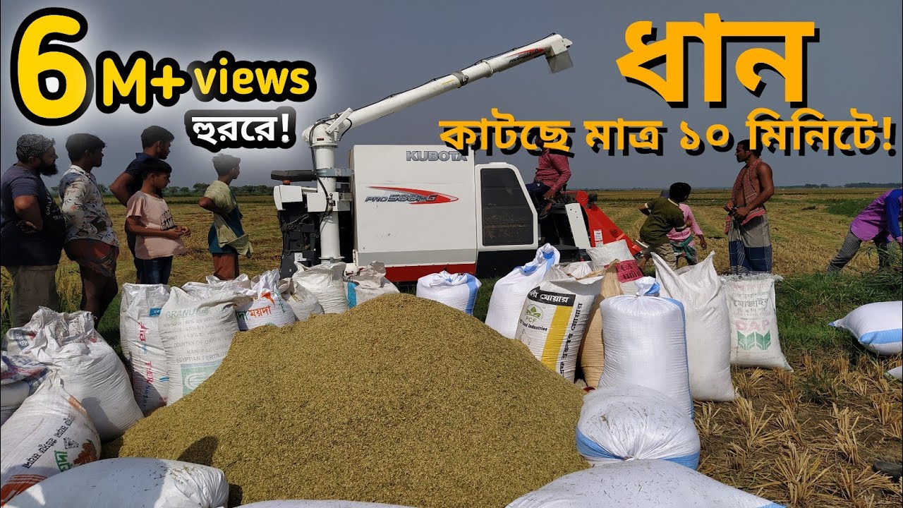 মাত্র ১০ মিনিটে ৩৭ শতক জমির ধান কাটা, মাড়াই দেখে হতবাক ! ধান কাটার অটোমেটিক মেশিন | Kalia | Narail