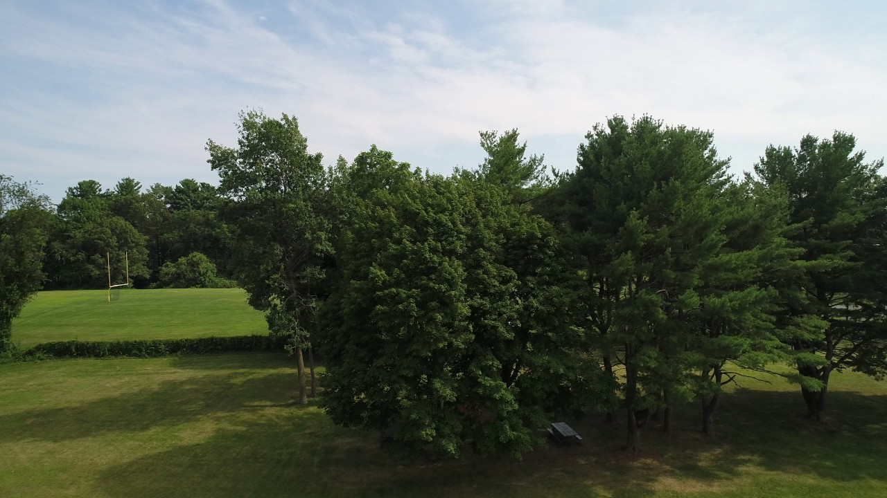 DJI  PHANTOM 4 PRO test 4k 29fps 2
