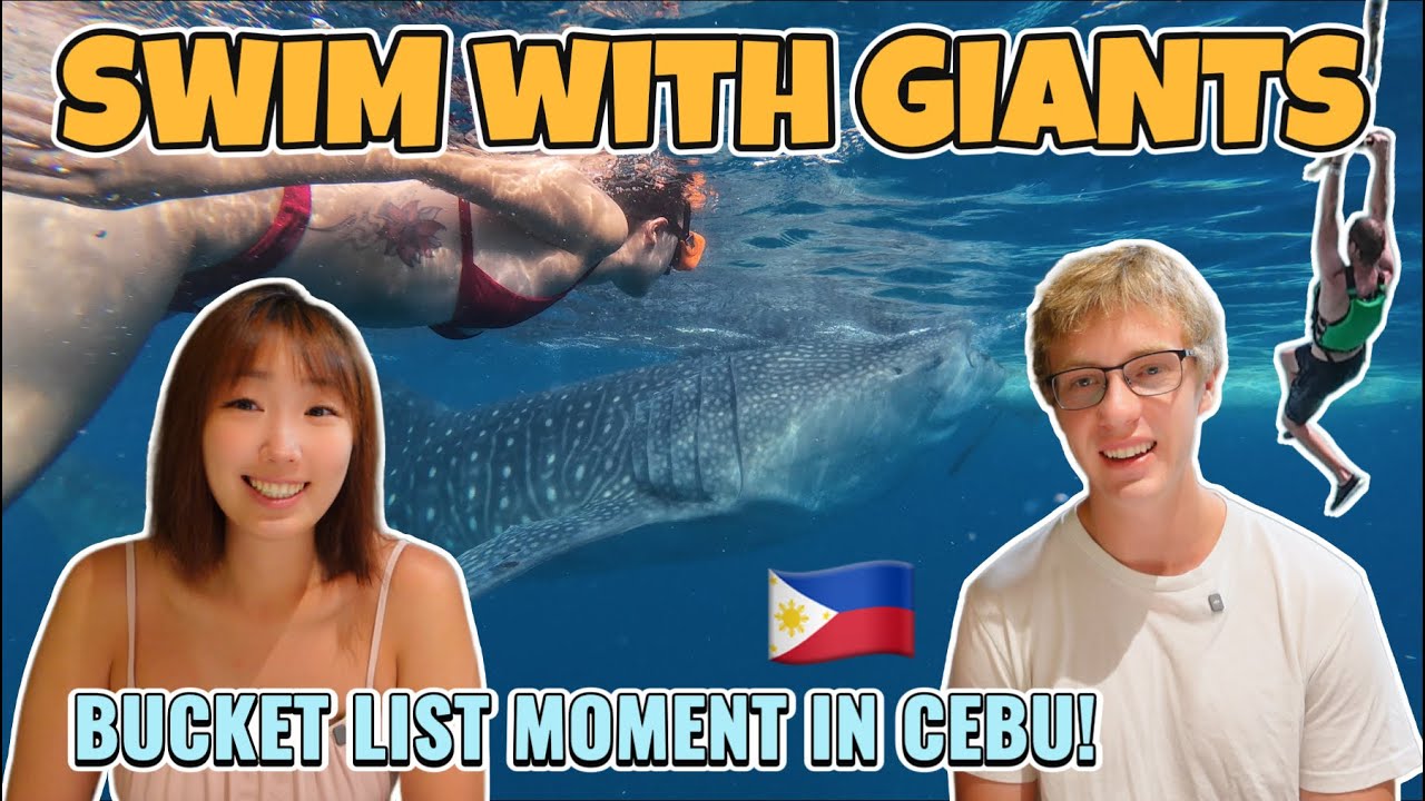 🇵🇭 Once-in-a-Lifetime Cebu Adventure🐋💦 Swim with Whale Sharks & Cliffs Jump!