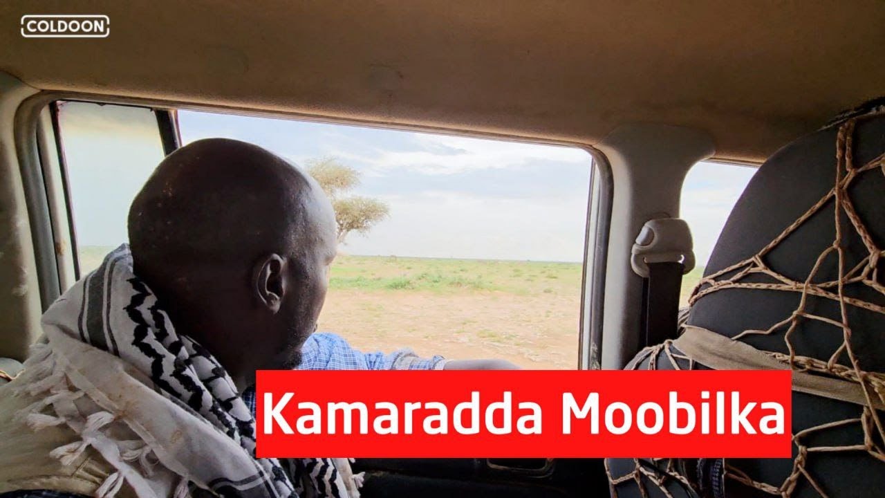 Kamaradda moobilka