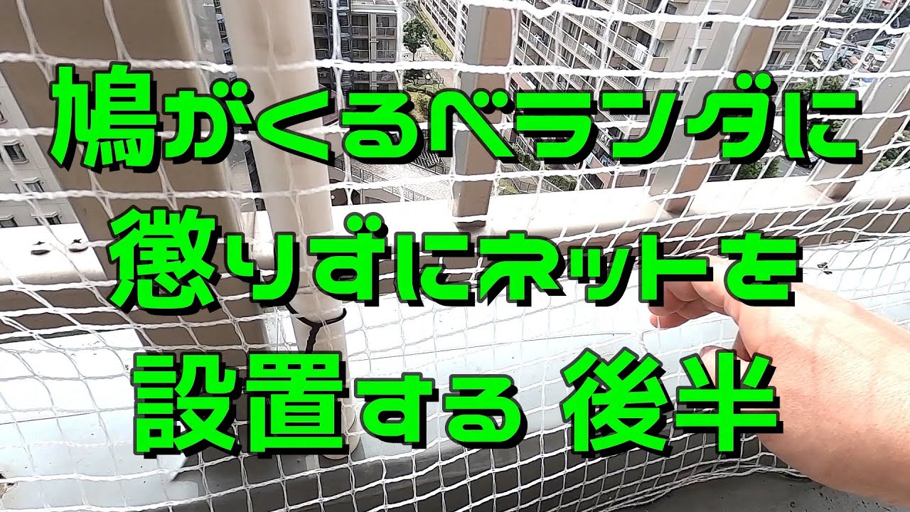 【鳩のネット後半】物件27 『設置してから４日後に唖然・・・完敗です。』 〜③鳩が住み着いたマンションのベランダにネットを設置の後半〜
