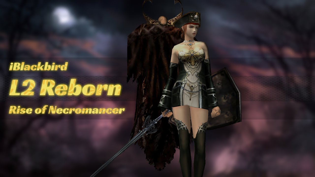 L2 Reborn - Stakato Necromancer AOE farm