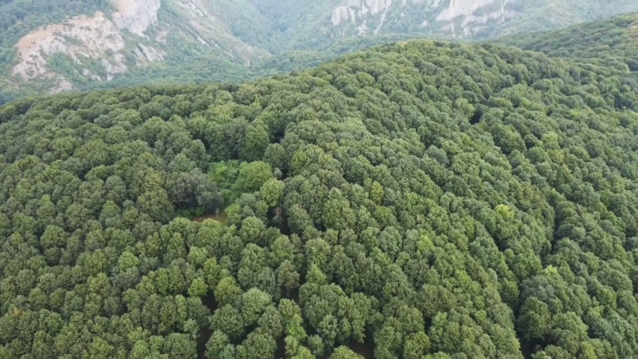 ,,Местността Злостен,,  ЯБЛАНОВО