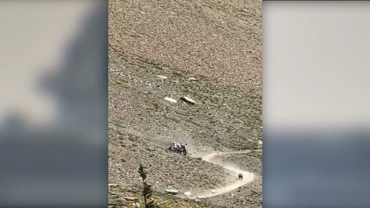 Moment Glacier Park Hikers Realize Bear Is Sprinting Toward Them