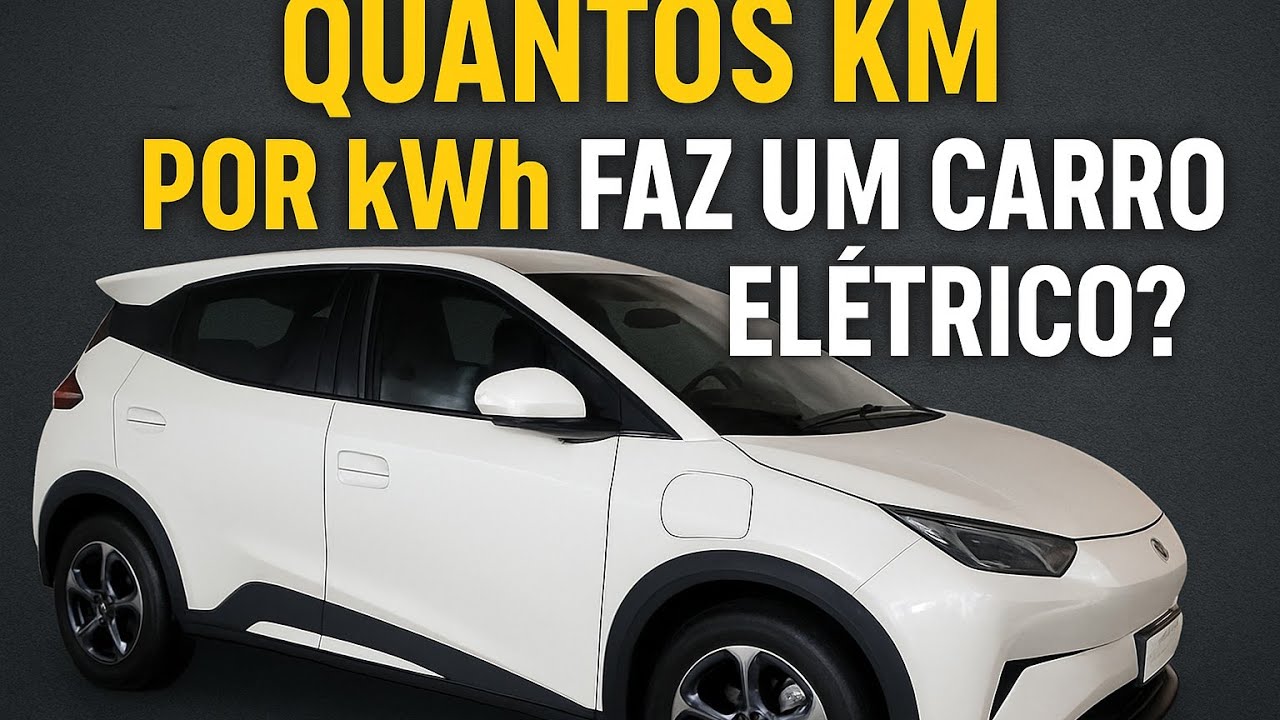 Qual autonomia real do Dolphin mini por kwh?