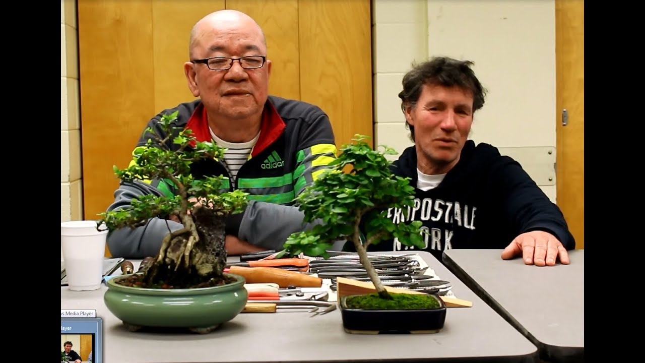 Bonsai Tools, with Hong